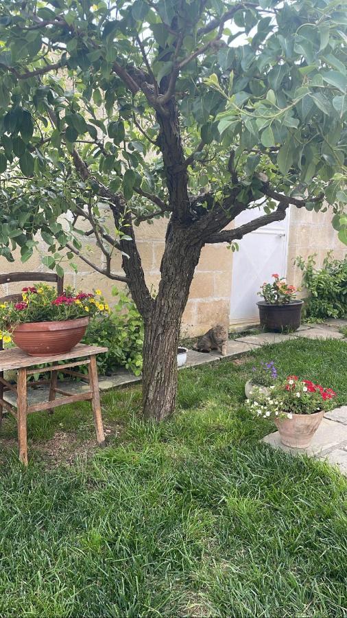 Bio&B Acquaviva Bed and Breakfast Otranto Buitenkant foto
